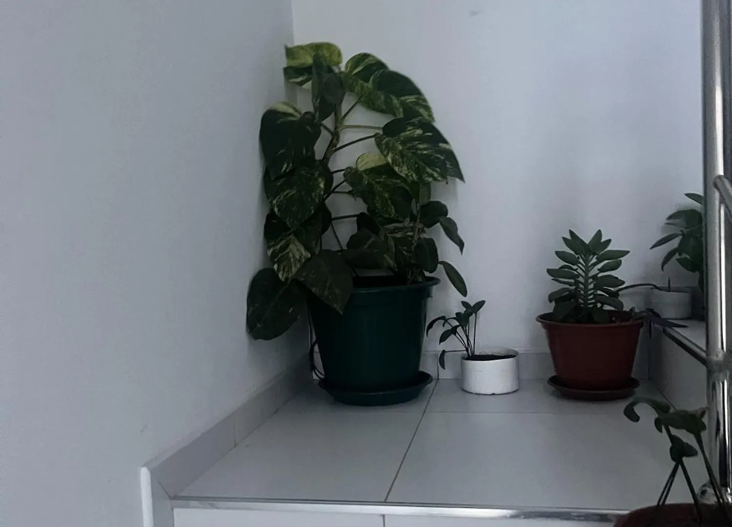 Quarto em Acomodações Particulares Oasis De Retour Apartamento Ponta Do Sol